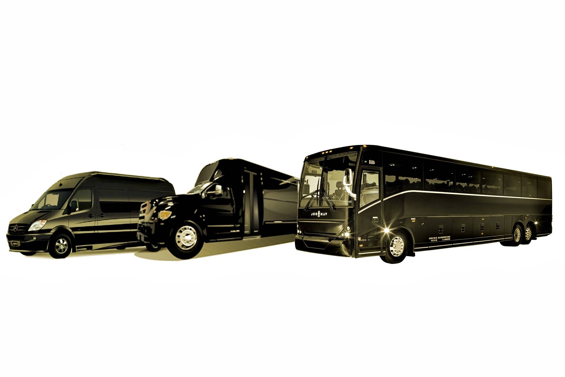 charter buses
